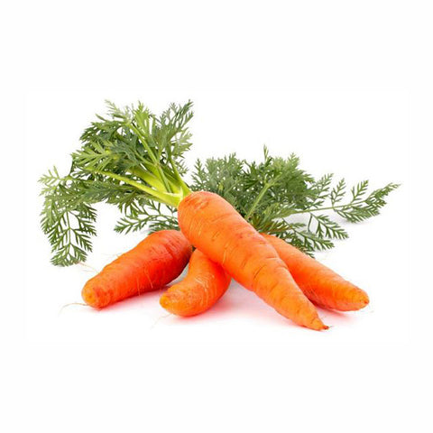 Organic fresh carrot